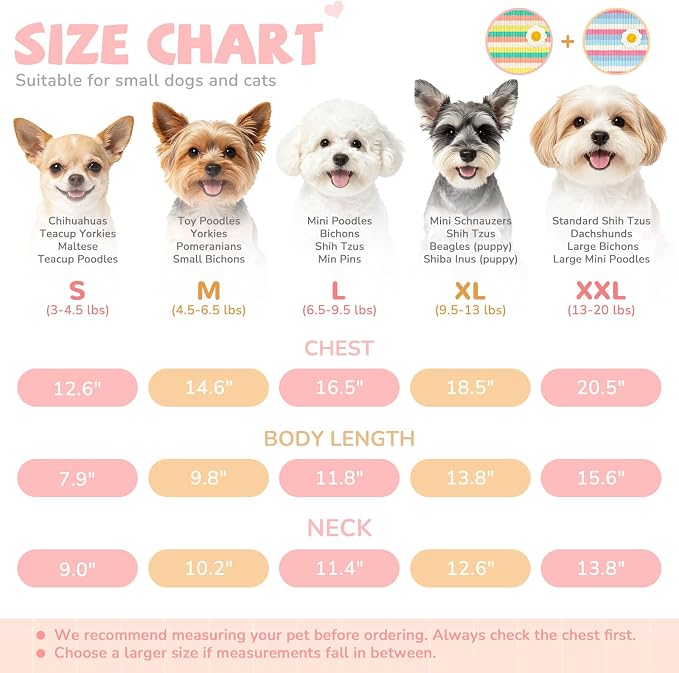 2 Pack Cute Striped Small Dog Shirts, Soft Cotton Girl Dog Clothes Breathable Ruffled Puppy Vest Spring Summer Pet Outfits for Chihuahua Yorkie Maltese and Cats（Purple+Green,Large）