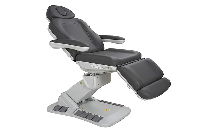 Silver Fox - Facial Chair for Esthetician, Electric Spa Treatment Chair with 4 Motors, Professional Beauty Bed, Adjustable Salon Treatment Table with 240° Rotation - 2246EB, Gray