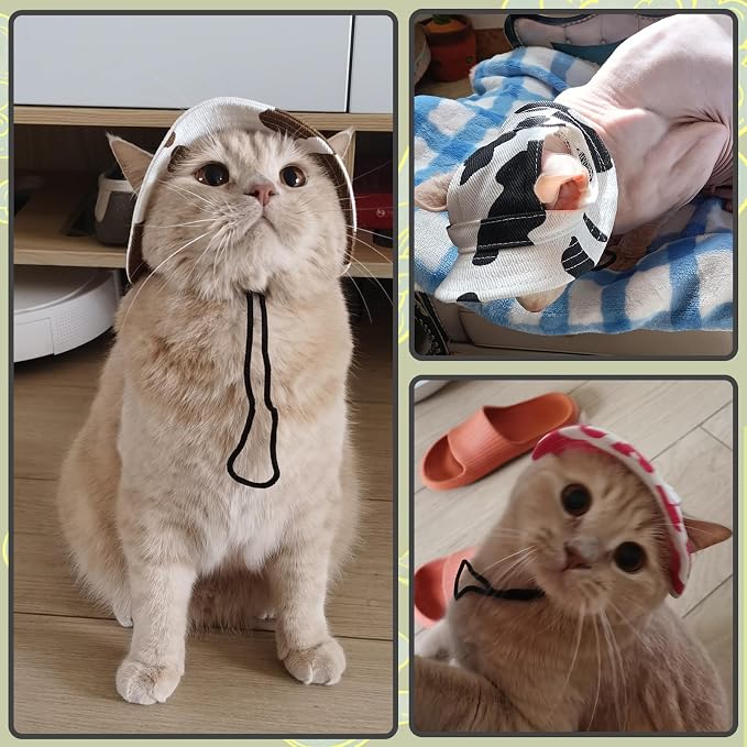 DENTRUN Cat Bucket Hat with Ear Hole, Cotton Birthday Bonnet for Small Pets | Breathable cotton, Adjustable Secures fit, For birthday Party, For small cats, daily cute photos