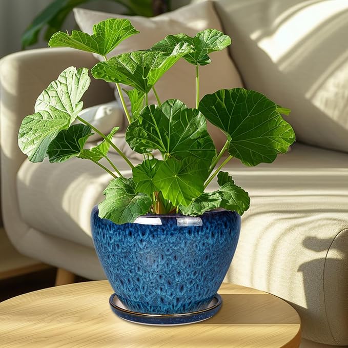Ceramicfor 8 Inch Ceramic Plant Pot, Ceramic Planter Pot for Indoor Outdoor Plants, Round Flower Pot with Drainage Hole and Saucer, Blue