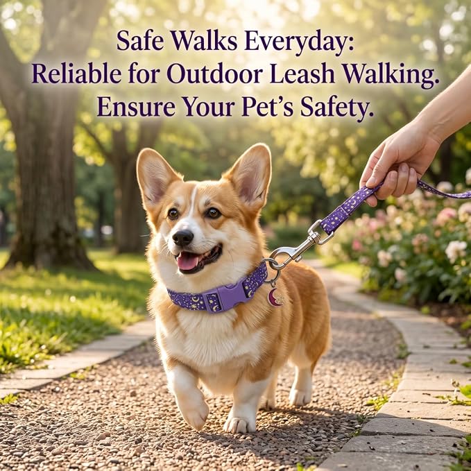 Cute Dog Collar, Moon Dog Collar for Large Dogs, L