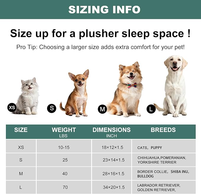 pobopobo Dog Crate Pad, Ultra Soft & Anti-Slip Kennel Mat, Secure Fit for Metal Crates & Dog Cages, Washable Cozy Bed for Small Medium Large Dogs (Green, S(23"*14"*1.5"))
