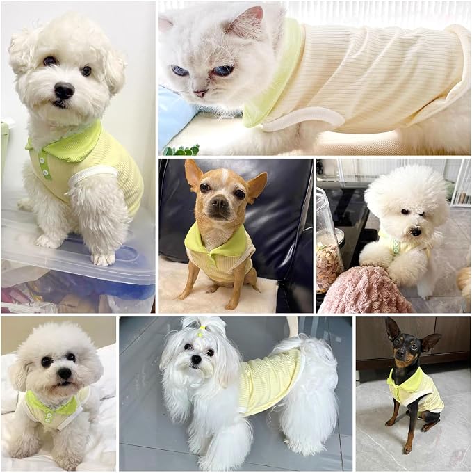 Dog Tshirts for Small Dogs Polo Shirt Stretchy Dog T Shirt Breathable Dogs Cooling Vest Girl Boy Puppy Dachshund French Bulldog Frenchie Chihuahua Clothes