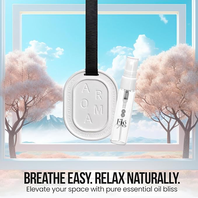 SINT Diatomite Aroma Stone, Non-Electric Ceramic Diffusers and Aromatherapy Fragrance, White Ceramic Diffusers in Car or Desk Office Decor and Small Bathroom at Home