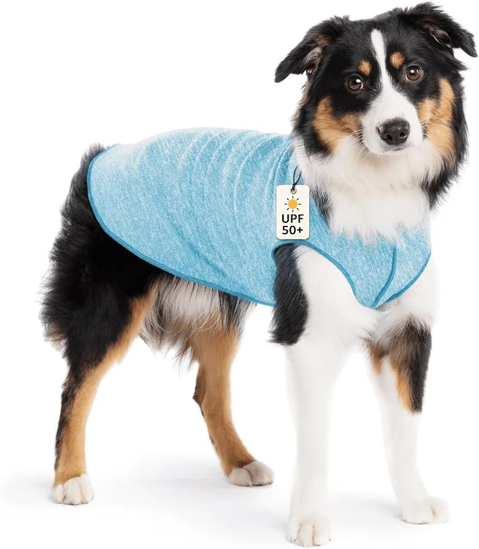 Goldpaw Dog Sun Shirt with UV Protection - Lightweight, Cooling Sun Protection Clothing for Medium Dogs - Reduce Heat Absorption - Made in the USA - Machine Washable - Ocean Blue - Size 14
