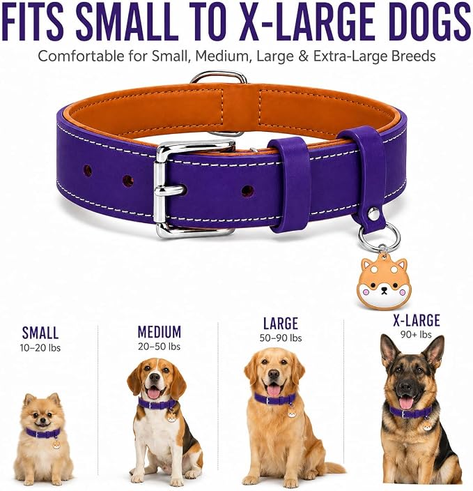 Genuine Leather Dog Collar, Soft Padded Leather Dog Collars with Airtag Holder Case for Small Medium Large X-Large Dogs,Comfort Heavy Duty Pet Collar with Durable Metal Buckle & D-Ring-Dark Purple/L