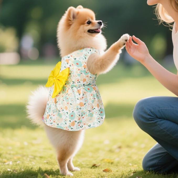 choyaxo 4pcs Cute Dog Dress Pet Dress Puppy Skirt Summer Pet Clothes for Puppy Small Cats