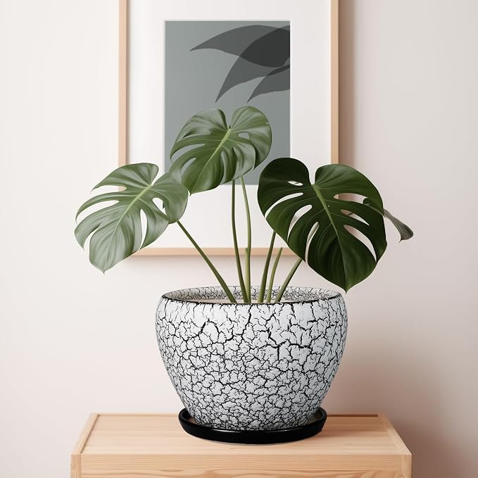 Ceramicfor Ceramic Planters for Indoor Plants - 10 Inch Plant Pot with Drainage Hole and Saucer, Large Flower Pot for Home Decor, White/Black