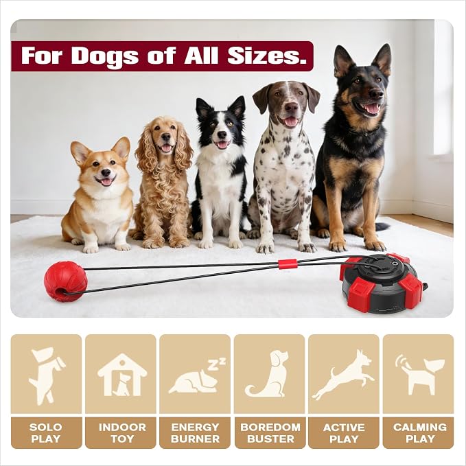 Sedioso Tough Dog Tug Toy for Aggressive Chewer with Ultra-Strong Suction Cup, Dog Pull Toy, Interactive Tug of War Toy for Small Medium and Large Dogs