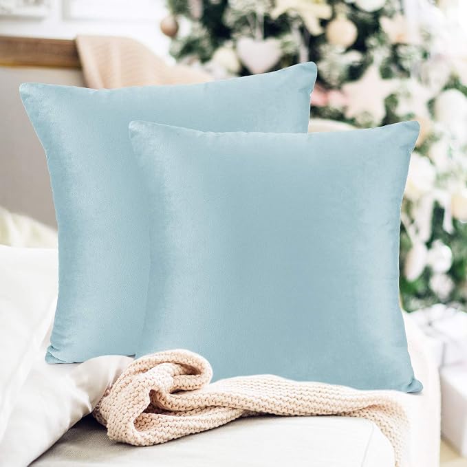 Throw Pillow Inserts Pack of 2 with Velvet Soft Solid Decorative Square Throw Pillow Covers Set for Sofa Couch Car Bedroom, 20X20 Throw Pillows Inserts with 18x18 Washable Cushion Covers, Aqua Blue