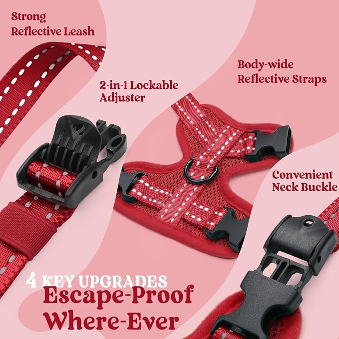 rabbitgoo Cat Harness and Leash, Easy-on with Neck Buckle, Red