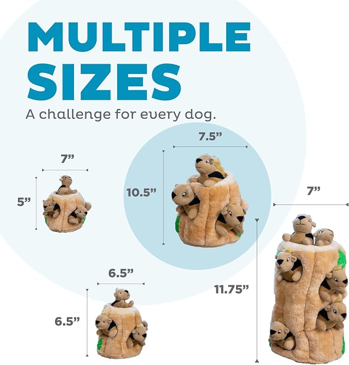 Outward Hound Hide-A-Squirrel Dog Toy – Interactive 2‑in‑1 Plush Puzzle with 3 Squeaky Removable Squirrels, Large (Pack of 12)