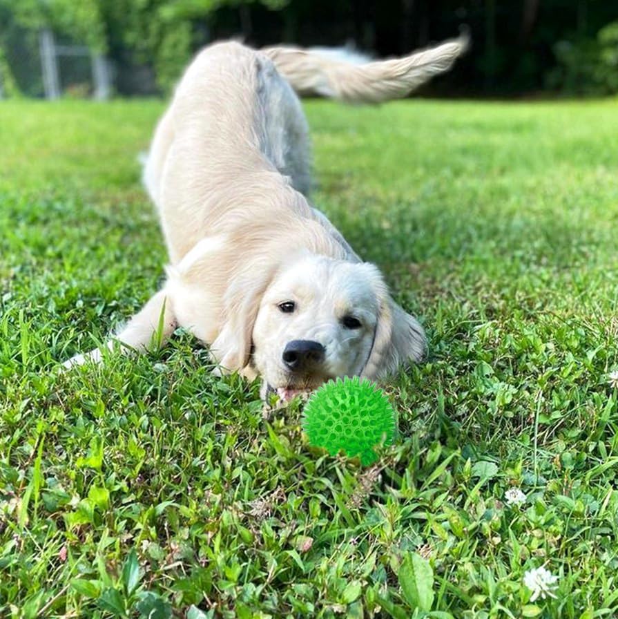 Cutie's PetBox Squeaky Rubber Spike Toy Ball for Small Dogs (2.5 Inch, Green)