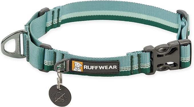Ruffwear, Web Reaction Martingale Dog Collar, River Rock Green, 20"-23"