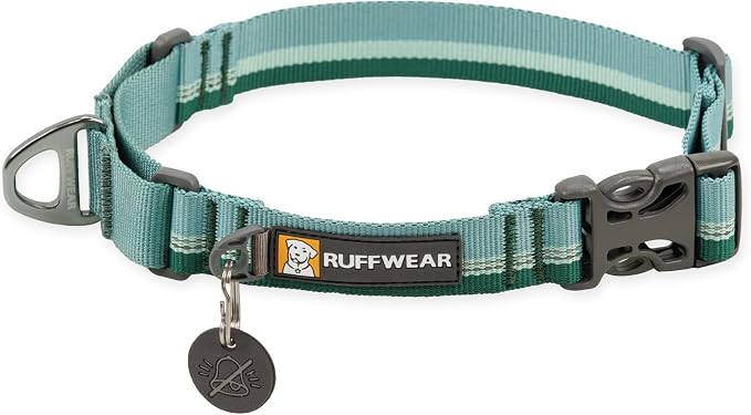 Ruffwear, Web Reaction Martingale Dog Collar, River Rock Green, 17"-20"