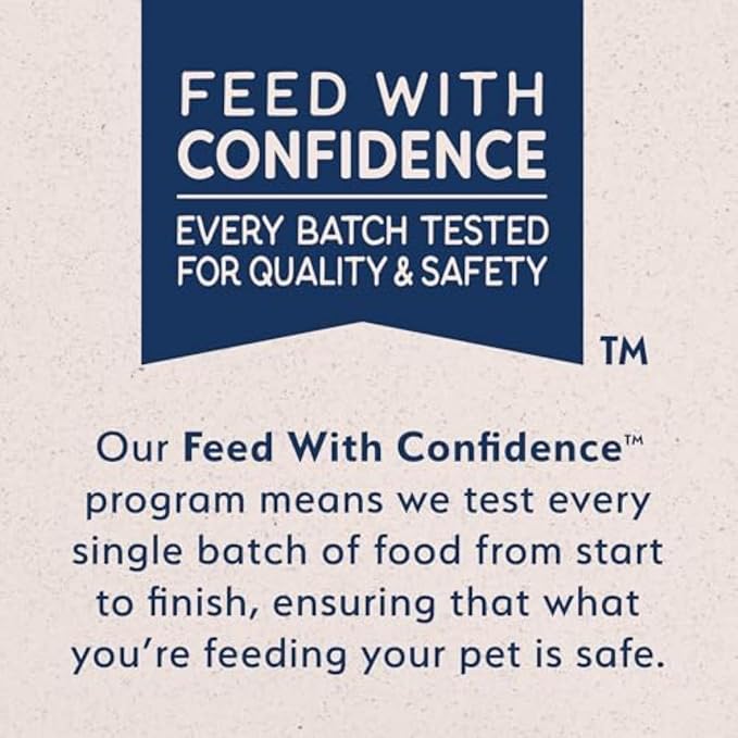 Natural Balance Limited Ingredient Cat Food, Salmon & Green Pea, 10 lb | Grain-Free, Soy-Free, and Corn-Free Dry Cat Food, Balanced Nutrition for Adult Cats, Single Animal Protein