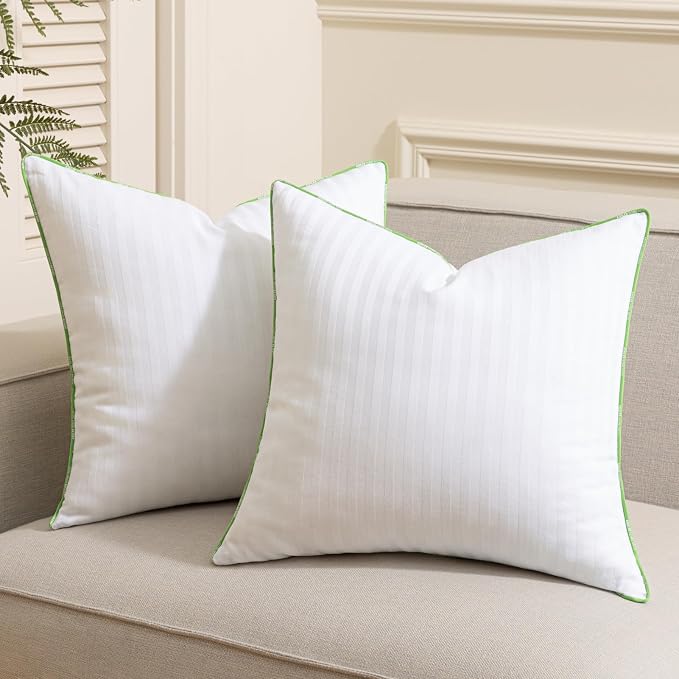 Ashler Home Deco Synthetic Down Pillow Inserts, 22x22 Down Alternative Throw Pillows Insert Sleeping Pillows with 100% Cotton Cover Decorative Pillow Stuffer for Sofa, Couch Bed(Set of 2, White)