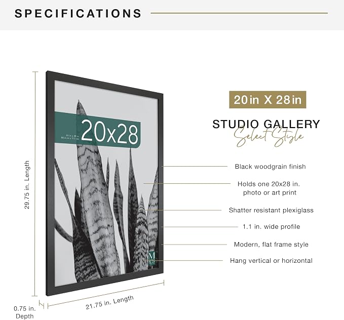 MCS Studio Gallery 20x28 Poster Frame Black Woodgrain Engineered Wood, Vertical & Horizontal Wall Hanging Large Picture Frame for Photos, Posters & Art Prints (1-Pack)