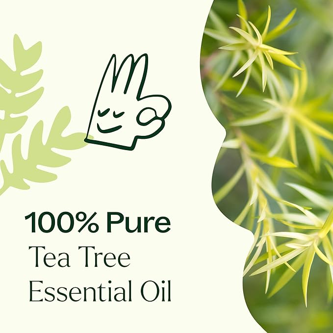 Plant Therapy Tea Tree Essential Oil 100% Pure, Undiluted, Natural Aromatherapy, Therapeutic Grade 30 mL (1 oz)