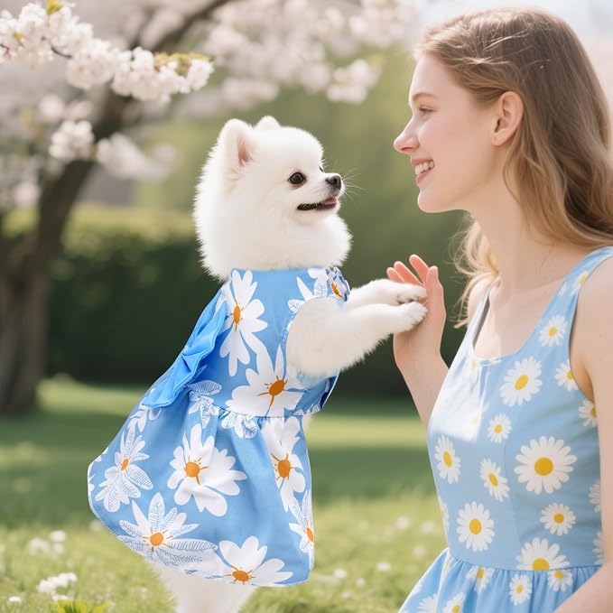 choyaxo 4pcs Cute Dog Dress Pet Dress Puppy Skirt Summer Pet Clothes for Puppy Small Cats
