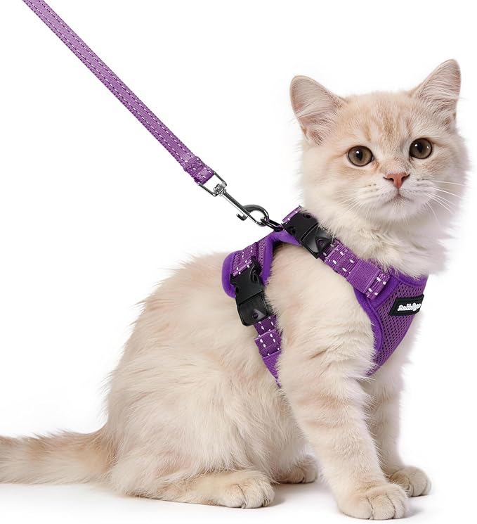 rabbitgoo Cat Harness and Leash, Easy-on with Neck Buckle, Purple