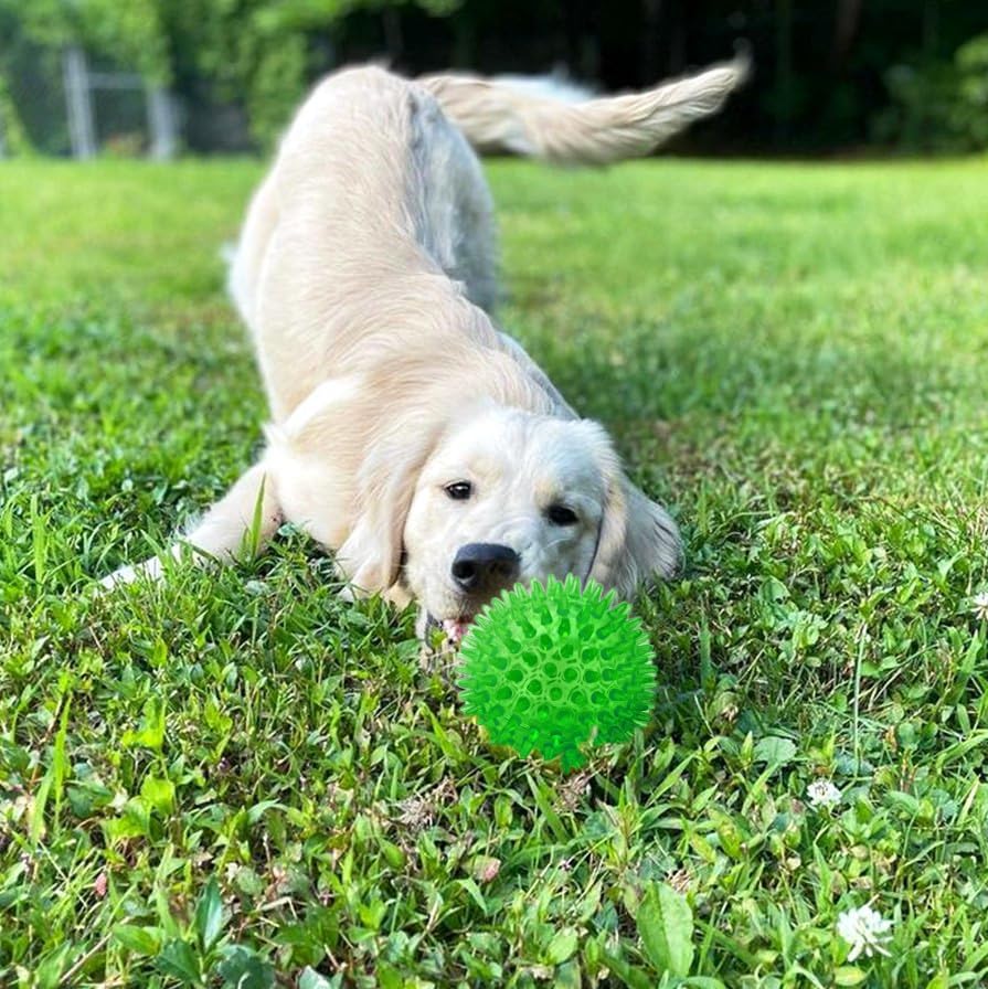 Cutie's PetBox Squeaky Rubber Spike Toy Ball for Medium, Large Dogs (3.5 Inch, Green)