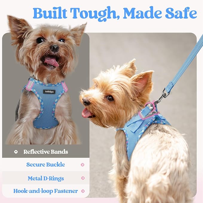 rabbitgoo Dog Harness Small Sized and Leash Set, Step-in Puppy Pet Vest | Light, Soft, Breathable Air Mesh, Easy on and Remove with Hook & Loop, Secure Reflective for Walking, Blue & Plaid Trim M