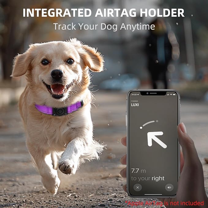 Upgrade Dog Collar with AirTag Holder, IP68 Waterproof, Grape Purple, M | Built-in Water Resistant AirTag holder, 1000D Nylon, Reflective Stitching for Night Visibility, Soft padding for Comfort