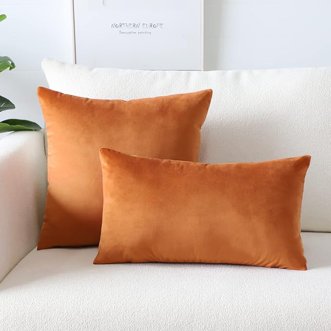 Artscope Luxury Velvet Fall Pillow Covers Super Soft Decorative Square Throw Pillow Covers Case Cushion Covers for Sofa Couch Bedroom Car Decor 12x20 Inch Orange Fall