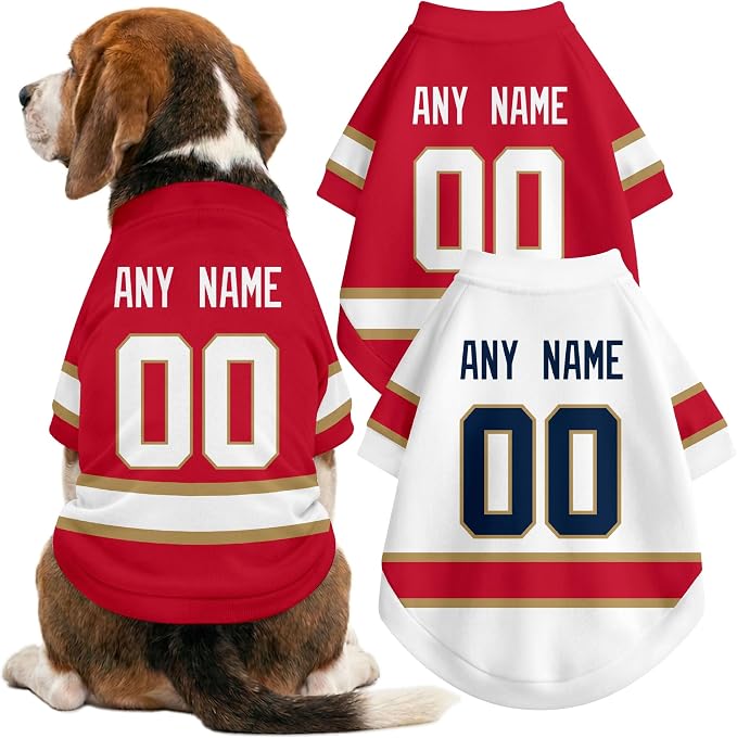 Florida Dog Clothes Personalized Pet T Shirt for Dogs Gift | Custom Name Number Jersey Style Pet Shirt for Dog