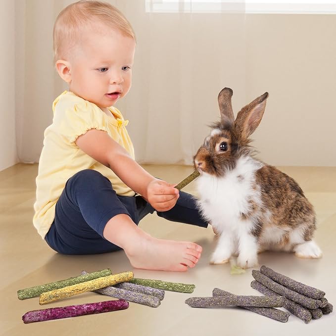 52Pcs Rabbit Chew Sticks, Guinea Pig Toys, Natural Timothy Teeth Stick