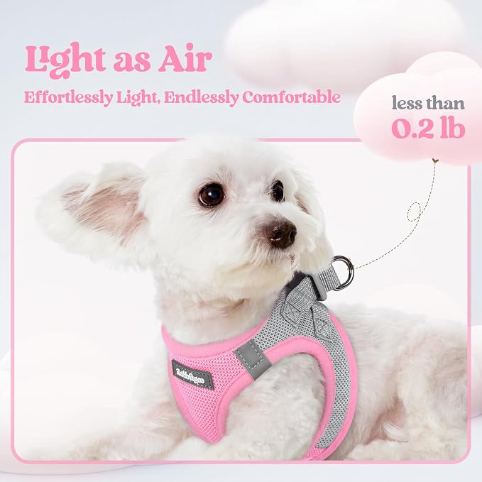 rabbitgoo Dog Harness Small Sized and Leash Set, Step-in Puppy Pet Vest | Light, Soft, Breathable Air Mesh, Easy on and Remove with Hook & Loop, Secure Reflective for Walking, Light Pink & Gray XS