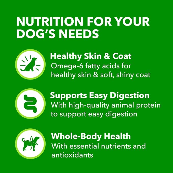 IAMS Proactive Health Ground Wet Dog Food, Chicken, 13 oz, 12 Pack | Made with real chicken, Omega-6 for skin & coat, no fillers or artificial flavors, 100% complete & balanced adult maintenance