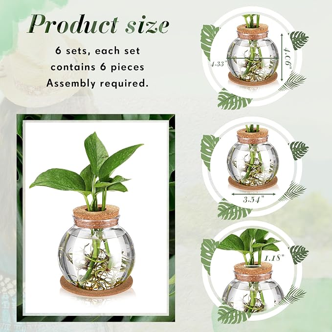 9 Packs Propagation Vases for Plants Plastic Plant Propagation Station with Hole Lid and Cork Coasters Plant Growing in Water Hydroponic Home Office Table Decoration(Fish Bowl Style)