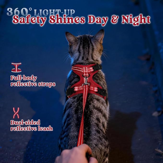 rabbitgoo Cat Harness and Leash, Easy-on with Neck Buckle, Red