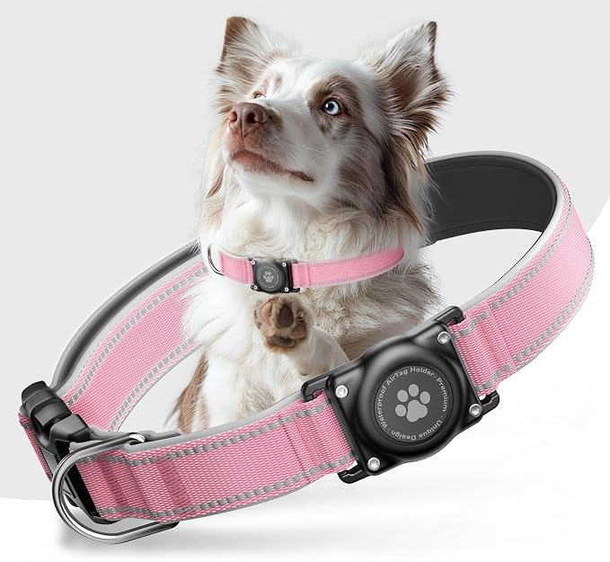 Upgrade Dog Collar with AirTag Holder, IP68 Waterproof, Pastel Pink, M | Built-in Water Resistant AirTag holder, 1000D Nylon, Reflective Stitching for Night Visibility, Soft padding for Comfort