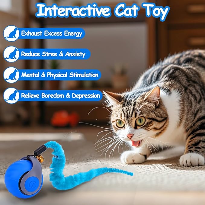 Mity rain Interactive Cat Toy Ball, Rechargeable Cat Toys for Indoor Cats