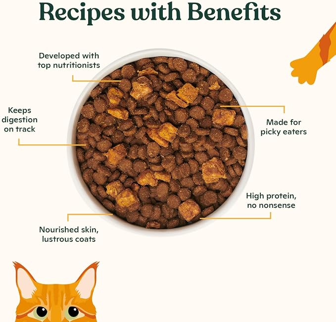 Made by Nacho Dry Cat Kibble 10lb Bag, High Protein Premium Cat Food with Freeze Dried Pieces, Sustainably-Caught Salmon, Whitefish & Pumpkin, Limited Ingredients, Single Bag | Protein-forward dry cat food with premium ingredients and craveable texture...