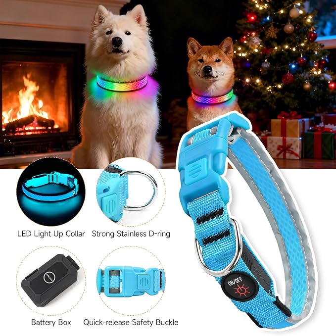 LED Dog Collar, Light Up Dog Collar,for Night Walking(Small,Blue) | Adjustable,Bright RGB 7 Colors Light Glowing Collar,Waterproof,Nylon,Soft,For Small and Medium Dogs,USB C to Charge