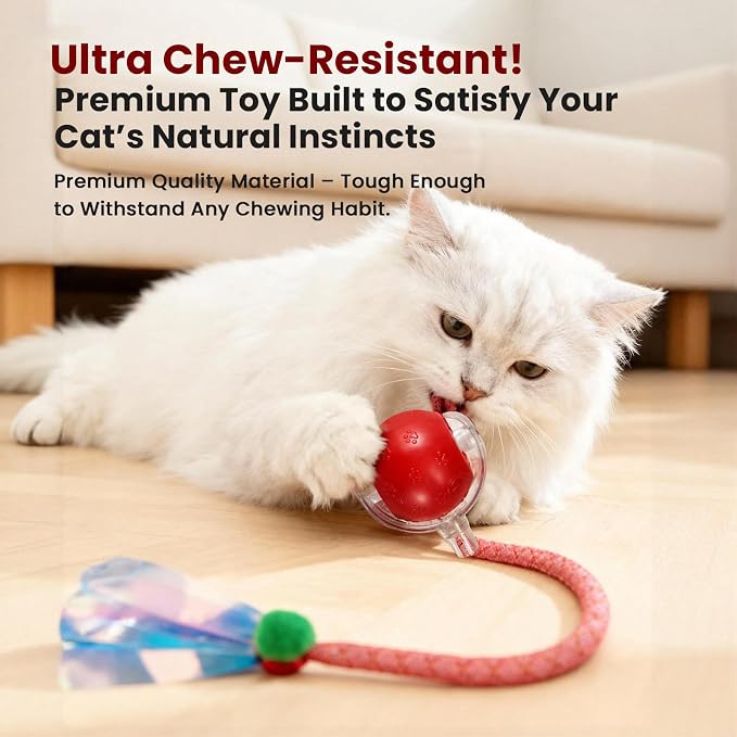 Rocfish Durable Interactive Cat Toys for Indoor Cats (red, 03)