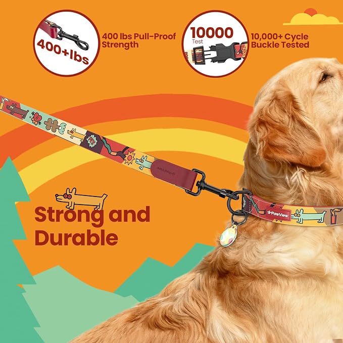 Dog Collar and Leash Set with QR ID Tag, 5 FT Leash, Red, S