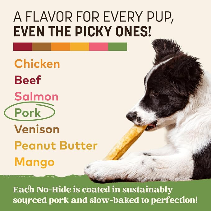 Earth Animal No Hide Dog Chews - Rawhide Free Medium Rolls 6 Count Pork | Medium Pork Flavored Natural Rawhide Free Long Lasting Dog Chews - Treats for Medium Dogs and Aggressive Chewers
