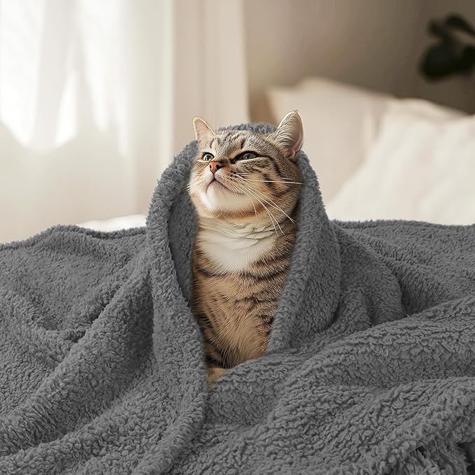 Luciphia Premium Fleece Pet Blanket for Small Medium Dogs Puppy Soft Sherpa Calming Cat Throw Blankets(Grey,41x31 inches) | Calming Plush Throw for Crate, Couch, Car, Bed. Machine Washable. Puppy Essential, Cat Stuff,Grey,41"x31"