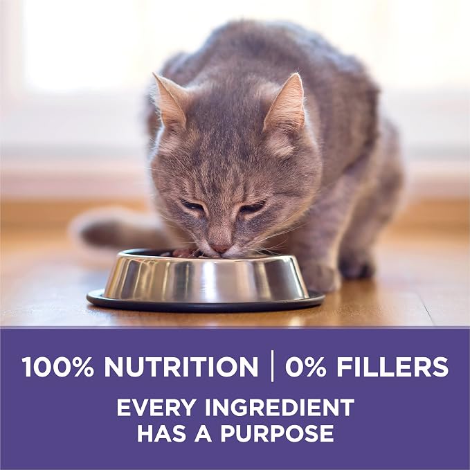 Purina ONE Natural Hairball Control Dry Cat Food, 3.5 lb Bag | Real chicken high fiber formula with added vitamins and minerals for overall health for adult cats and minimizes hairballs