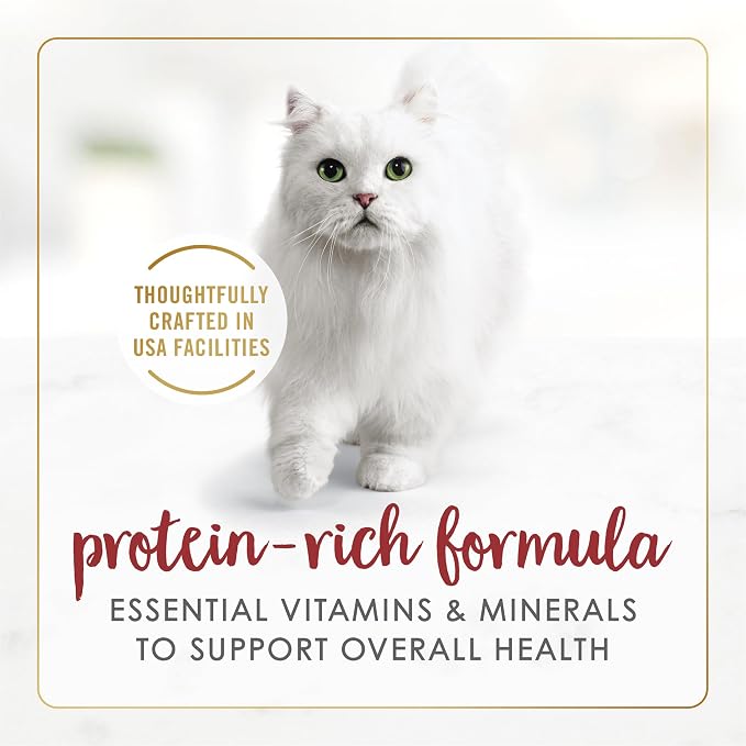 Fancy Feast Purina Gravy Lovers Beef Feast Grilled Gourmet Cat Food in Wet Cat Food Gravy - 3 oz. Cans (Pack of 48)