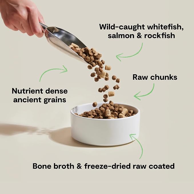 Open Farm RawMix Ancient Grains Dry Dog Food, Wild Ocean Kibble, 3.5lb Bag | Wild-Caught Whitefish, Salmon and Rockfish, Freeze Dried Raw Chunks, 100% Traceable Ingredients, Non-GMO Fruits & Veggies.