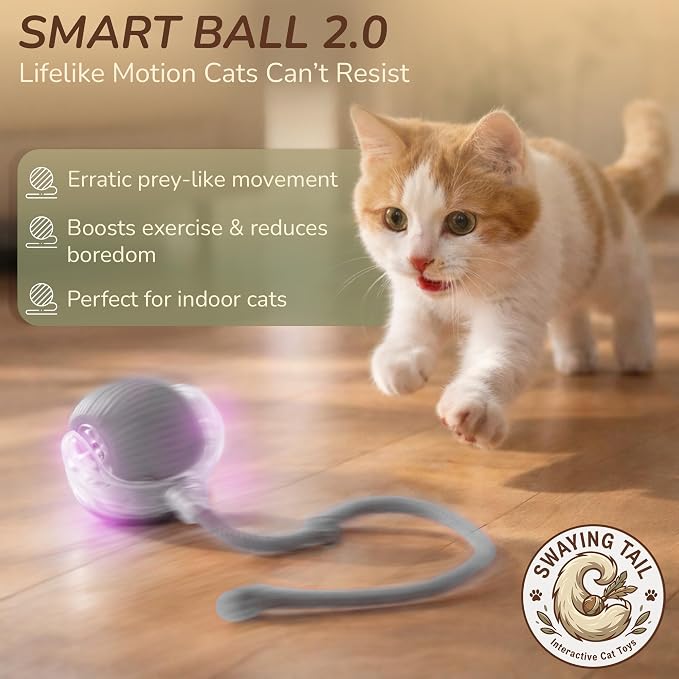 Interactive Cat Toy Automatic Moving Ball, Indoor Cats, Rechargeable, Gray