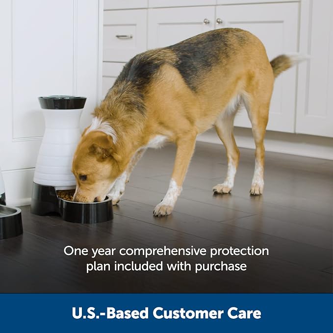PetSafe Healthy Pet Food Station, 2 lb Gravity Feeder, Cats & Dogs, Small | Dry Food Dispenser, Removable Stainless Steel Bowl Is Dishwasher Safe, Space-Saving Design