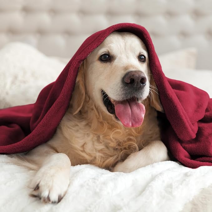 BEDELITE Fleece Blanket Soft Plush Twin Size Blanket Burgundy 60"x80" | Ultra Soft Fleece, Plush Microfiber, Lightweight Warmth, All Season Comfort, Fade Resistant, Machine Washable, Couch Sofa Bed