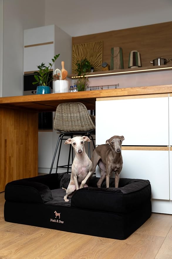 NOAH & PAW Large Dog Bed, 35x25x11 Inch, Orthopedic Dog Beds, Eggshell Memory Foam Infused with Cooling Gel, Inner Cover, Water Resistant, Machine Washable (Denim Sofa Collection)